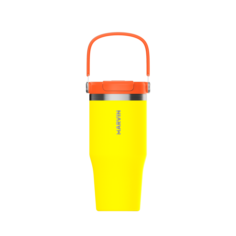 LOTE TERMO MARVIN THE ICED 700 ML. CHAMP