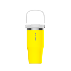 LOTE TERMO MARVIN THE ICED 700 ML. CHAMP