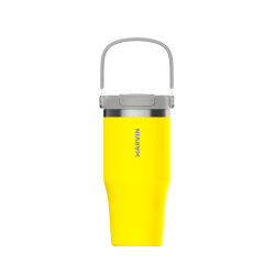 LOTE TERMO MARVIN THE ICED 700 ML. CHAMP