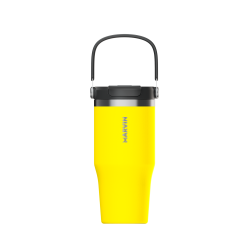 LOTE TERMO MARVIN THE ICED 700 ML. CHAMP